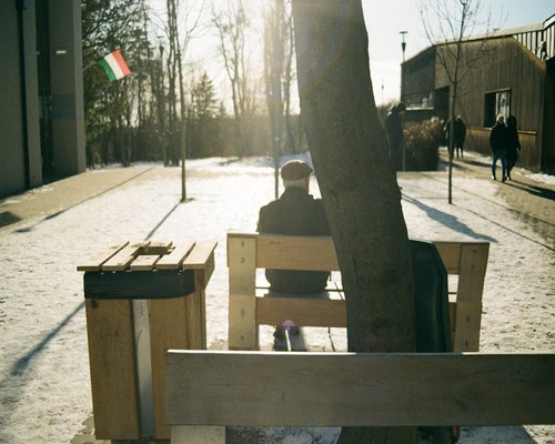 man walking relaxed in a sunny urban park in Hungary